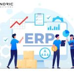 Custom ERP Software