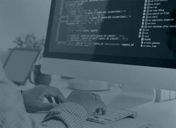 Custom Software Development Agency