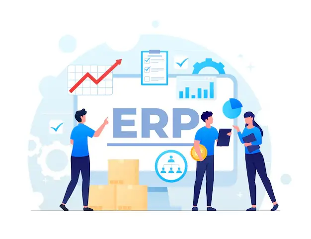 Customized ERP Software